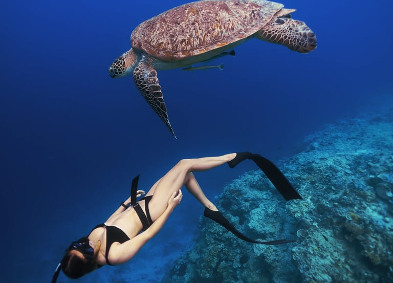 Femme faisant de l'apnée en maillot de bain avec une tortue