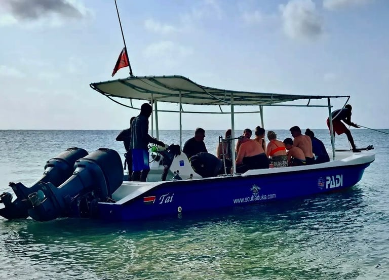 A blue scuba diving boat carrying divers on the ocean for an underwater excursion.