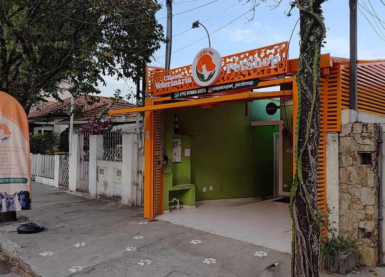 banho-e-tosa-premium-jardim-sao-paulo