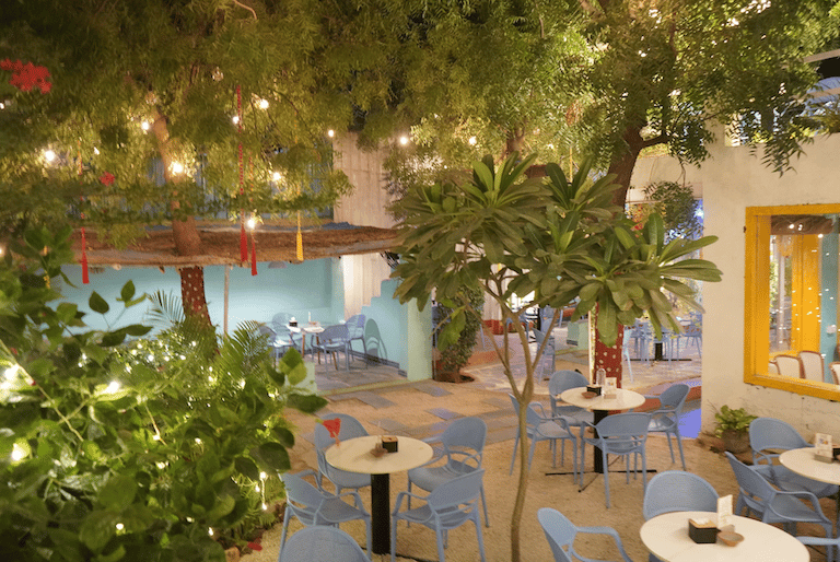 Basil The OtherSide Ambiance with greenery Ahmedabad