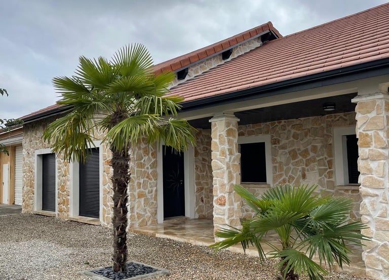 a palm tree in front of a building