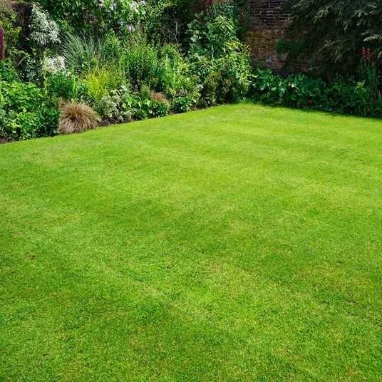 A newly turfed lawn in Plovdiv with a flowerbed bordering it, completed by Hedgie Wilder.