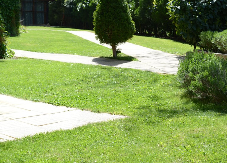 A green, well‑kept lawn with a garden pathway, trimmed bushes, and shaped trees in Batak.