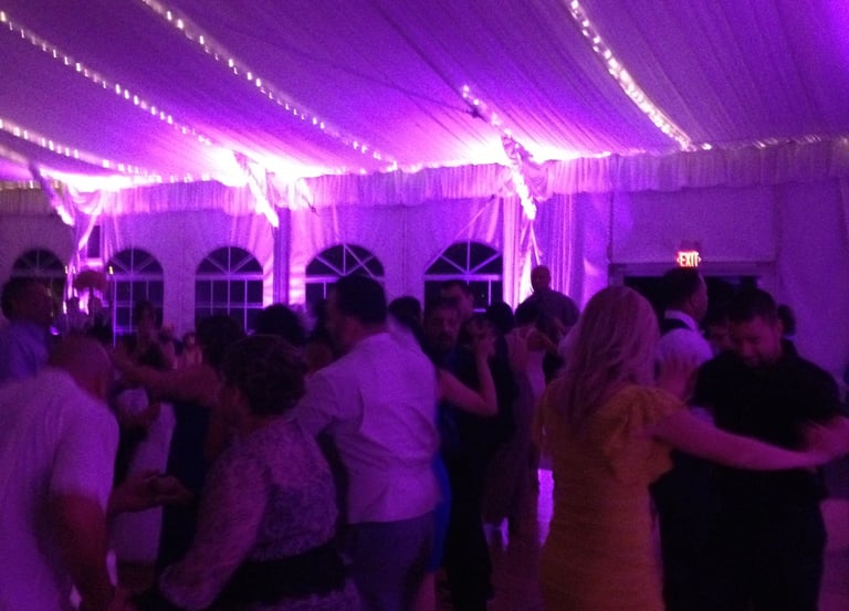 Chicagoland Wedding DJ