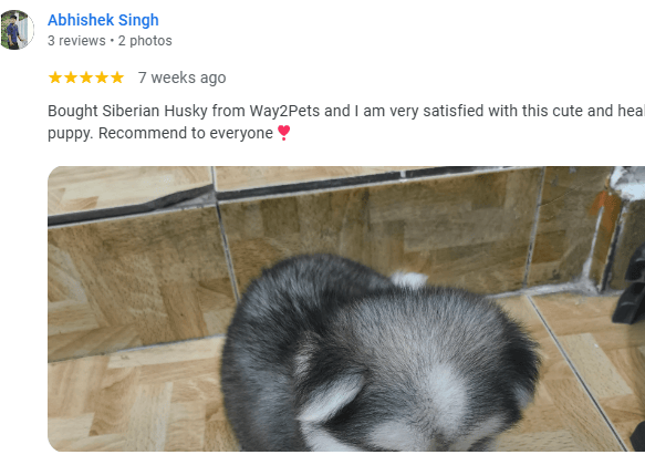 Husky customer Lucknow