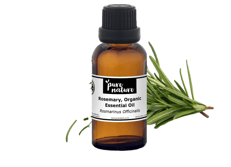 Green Rosemary next to rosemary organic essential oil bottle