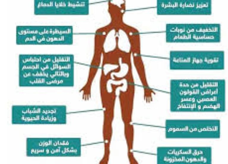  الصيام الإسلامي وعلاج التصلب المتعدد