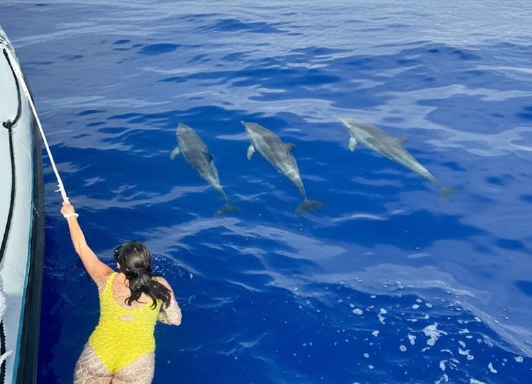 A person in a yellow swimsuit swimming in the ocean next to three dolphins near a boat.