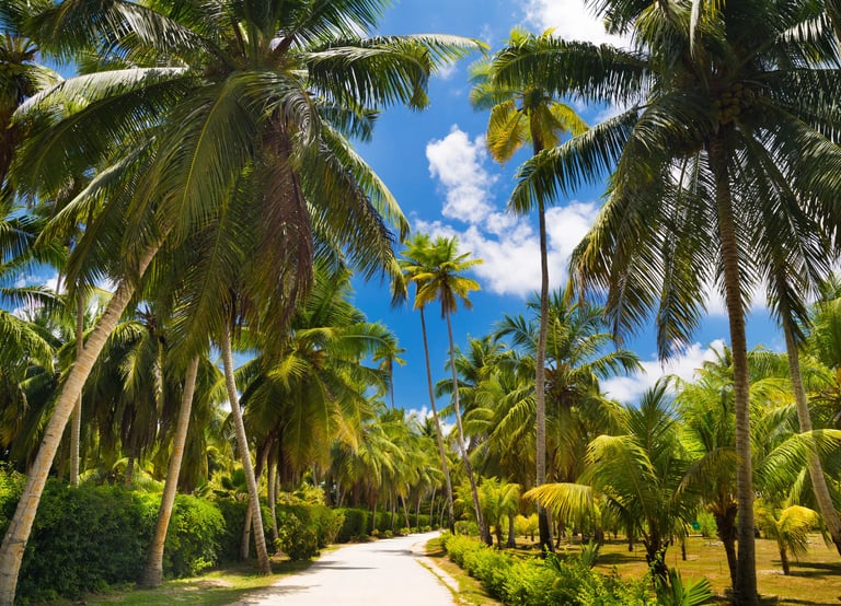 La Digue Island walkway