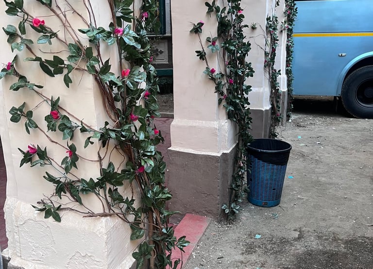 Artificial creepersfor decoration on rental basisi