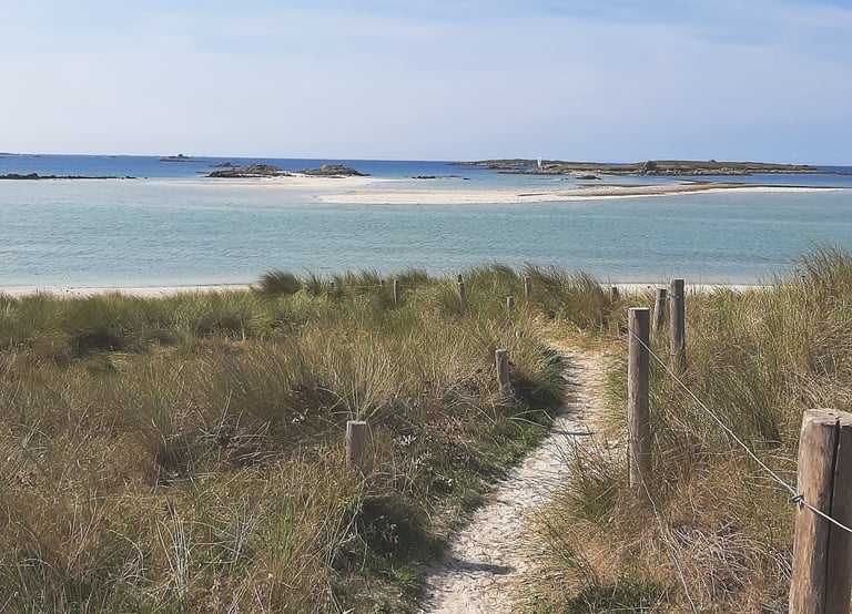 un chemin menant à une plage en Bretagne