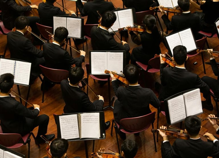 group of people playing violin