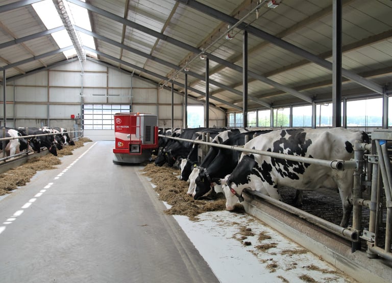 Dairy Cattle Nutrition