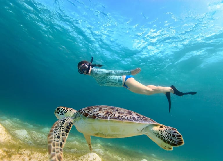 abu-dabbab-snorkeling-trip-marsa-alam