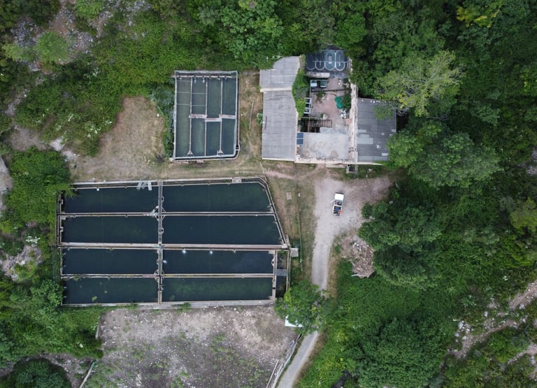 a cenital drone photo tennis court with a tennis court and tennis court
