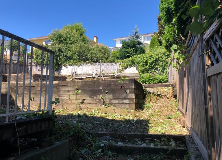 Blackberry removal after pic completed in Port coquitlam removal