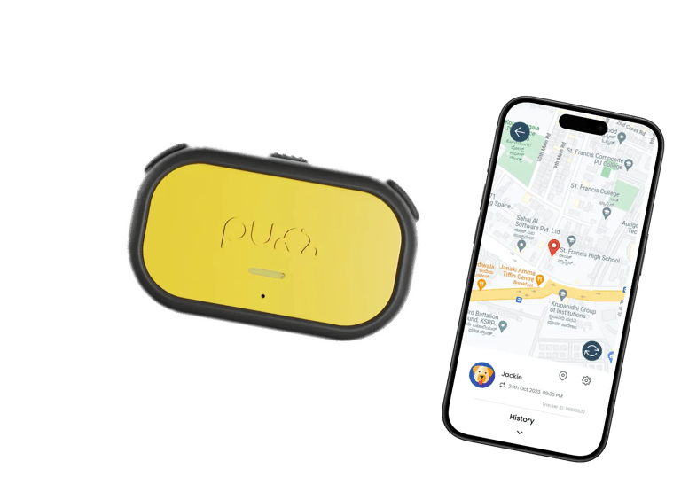 Purr GPS device with Mobile App