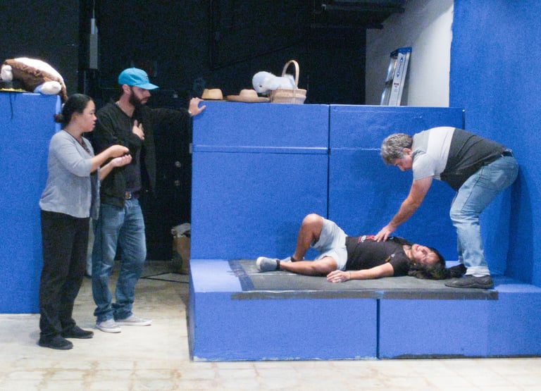 Theater Director