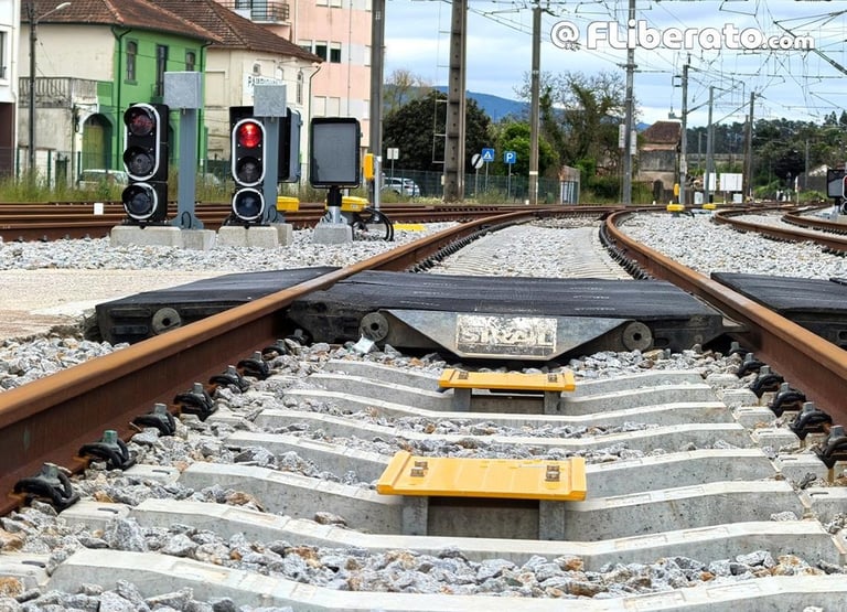 Pampilhosa sinalização