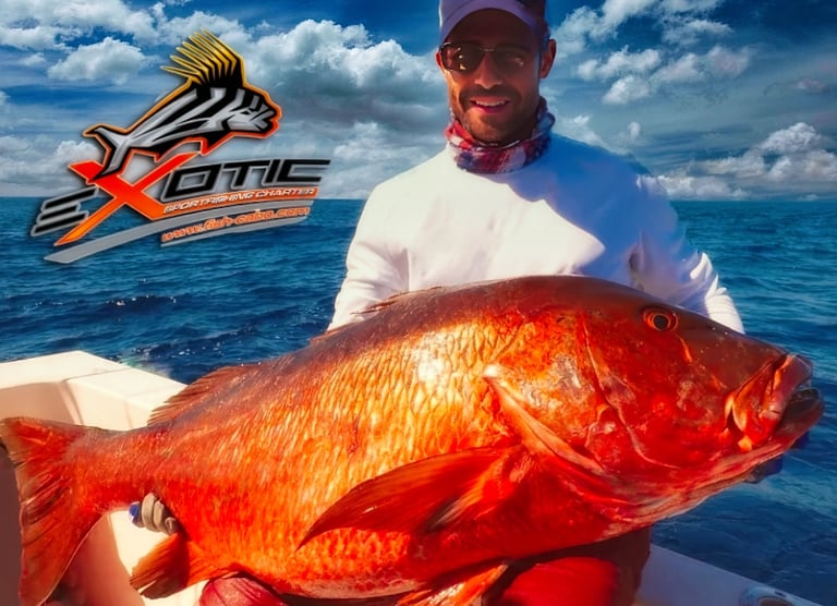 Expert fisherman landing trophy-sized red snapper near San Jose del Cabo