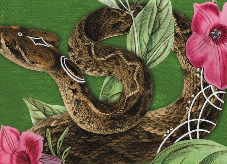 Ace of Earth, Wise Earth Medicine Tarot