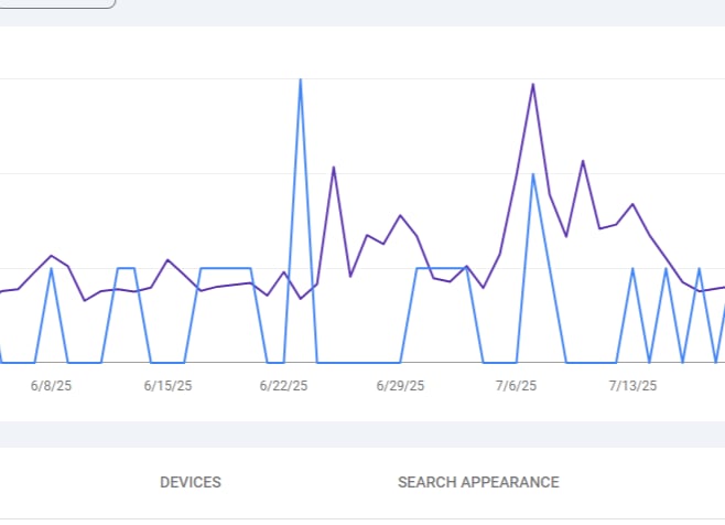 search engine optimization services
