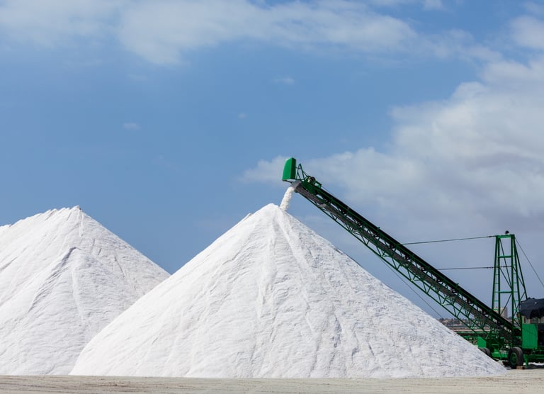 A conveyor belt stacking large piles of white industrial sea salt at a production facility.