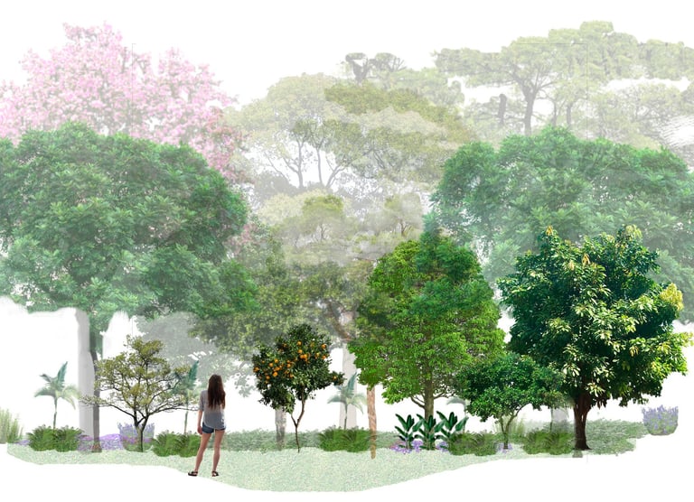 diseño de paisajismo en popayan