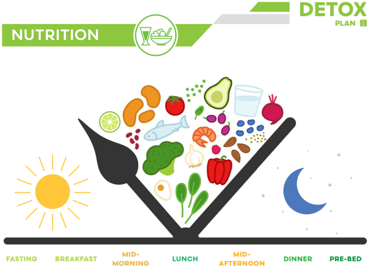 Detox Daily schedule