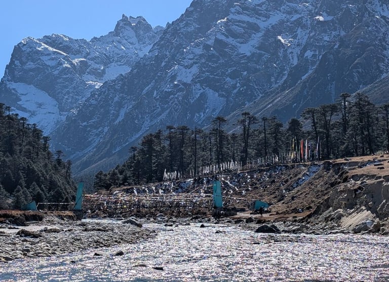 LACHUNG HOMESTAY