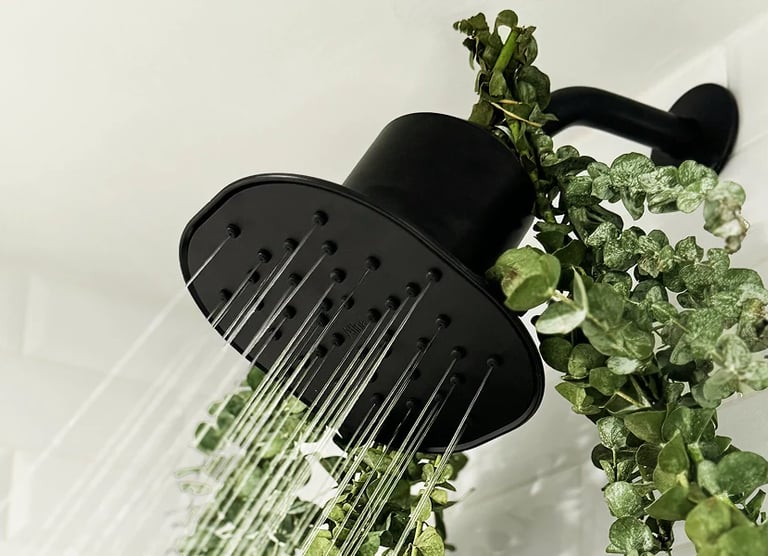 Afina filtered shower head: The Best Filtered Showerhead