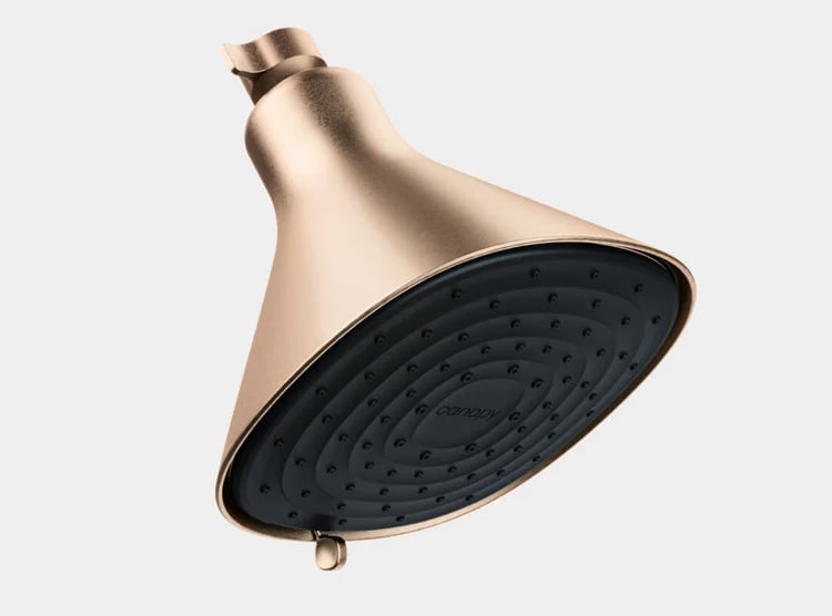 Canopy filtered shower head: The Best Filtered Showerhead