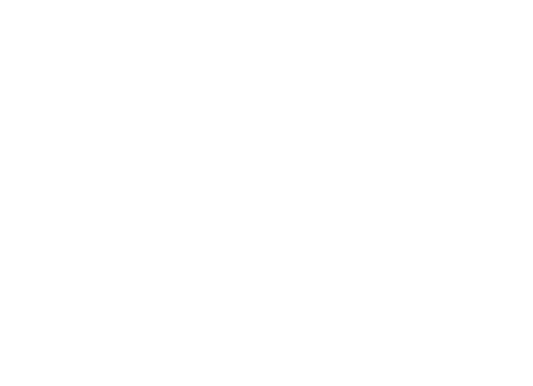 chimney inspection icon