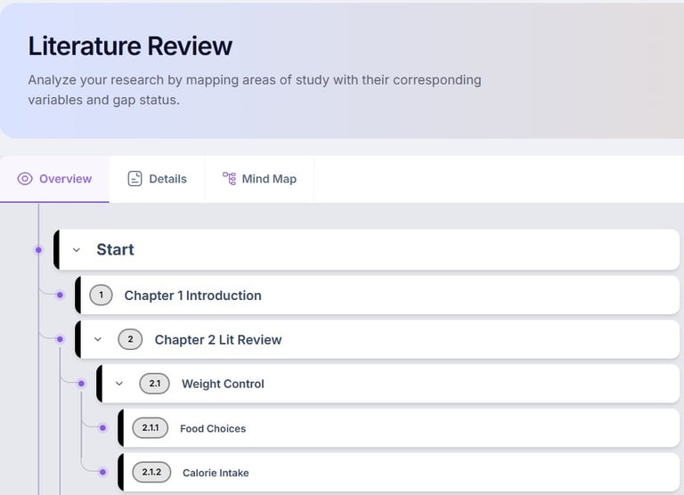 A digital literature review dashboard showing organized academic research chapters and subtopics for mapping study variables.