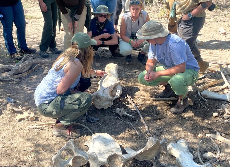 Learning about wildlife crime scenes