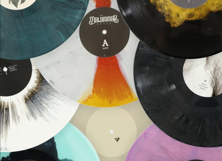 One page university website for a record store built with pure HTML and CSS.