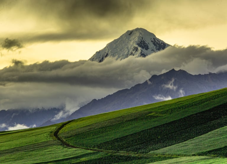 Sacred Valley & Machu Picchu Birding Adventure 3D/2N