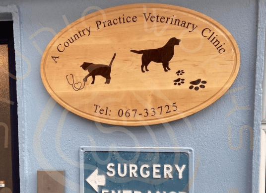 Oval business inlay sign