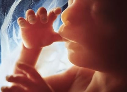 unborn baby sucking thumb