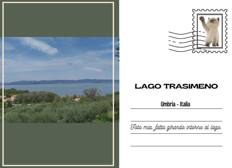 Cartolina del lago Trasimeno vista dalla strada