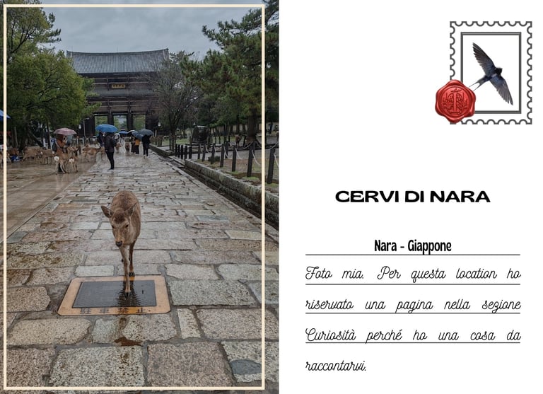 Cartolina di uno dei cervi di Nara in Giappone davanti a un tempio