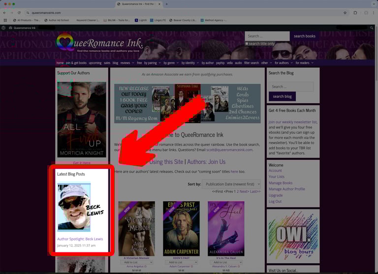 QueeRomanceInk website highlighting Beck Lewis' Author Spotlight article
