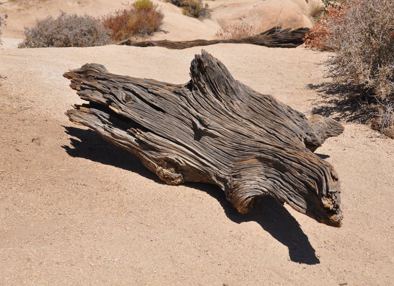 Wooden sculpture in Joshua Tree National Park