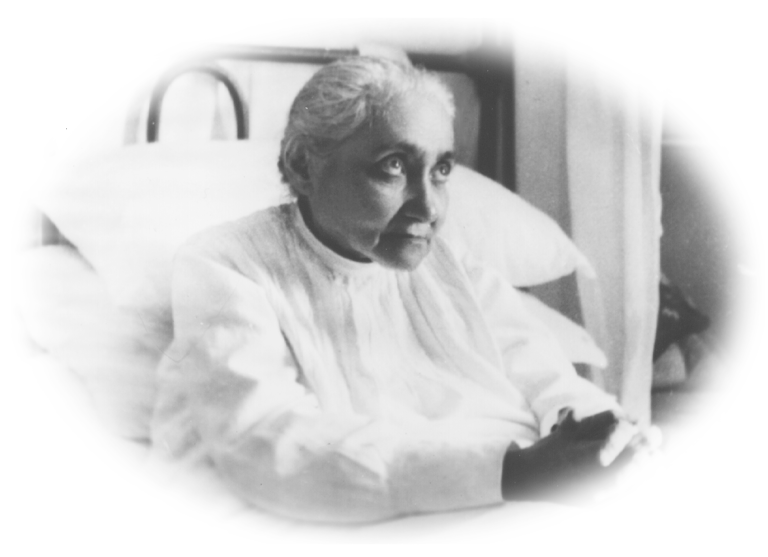 flip over vertical axis