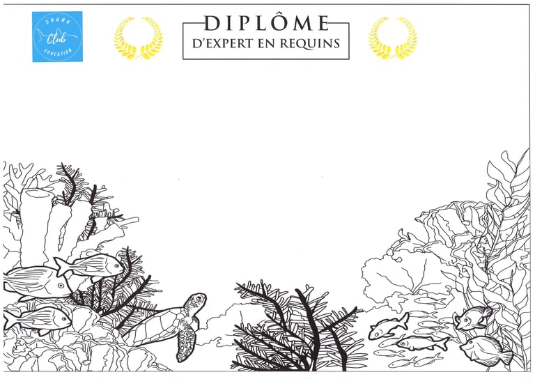 diplôme expert requins Shark Education Club