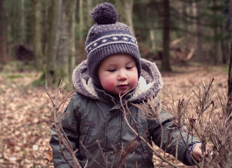 Toddler in a winter hat and warm coat exploring dry branches in a scenic autumn forest.