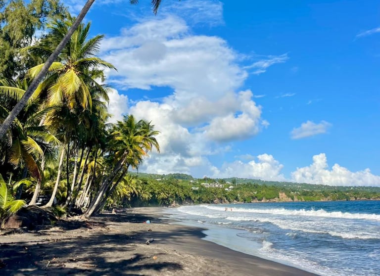 Excursion Monique voyage france guadeloupe