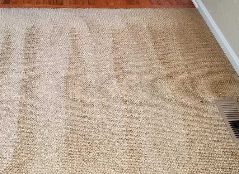 Beautiful Freshly Cleaned Carpet when using King Organic Clean