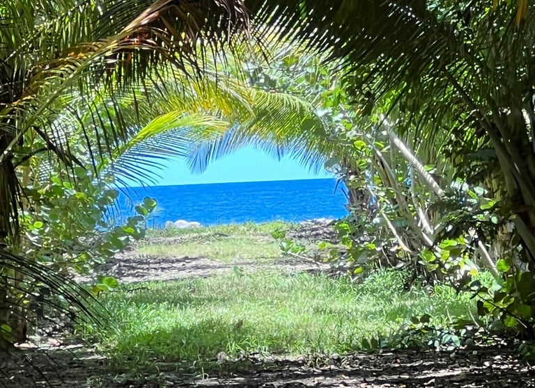 paradis voyage france guadeloupe