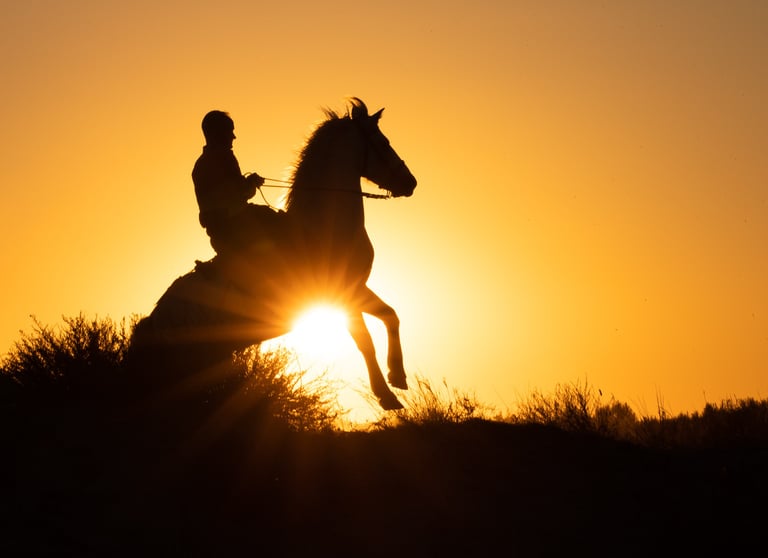 Silhouette of a man riding a rearing horse against a vibrant orange sunset in the countryside.